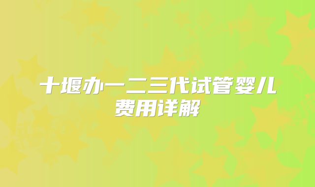 十堰办一二三代试管婴儿费用详解