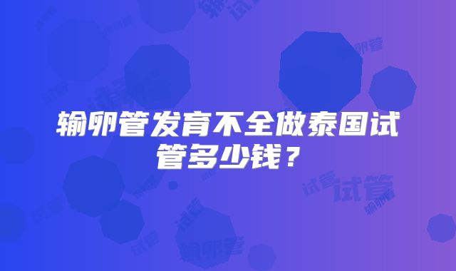 输卵管发育不全做泰国试管多少钱？