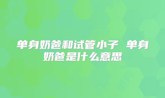单身奶爸和试管小子 单身奶爸是什么意思