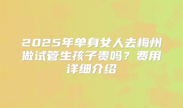2025年单身女人去梅州做试管生孩子贵吗？费用详细介绍