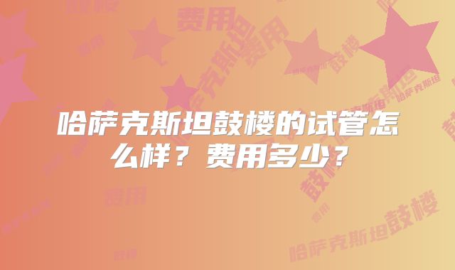 哈萨克斯坦鼓楼的试管怎么样？费用多少？