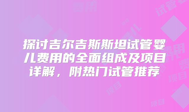 探讨吉尔吉斯斯坦试管婴儿费用的全面组成及项目详解,附热门试管推荐
