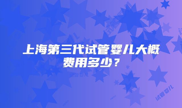 上海第三代试管婴儿大概费用多少？
