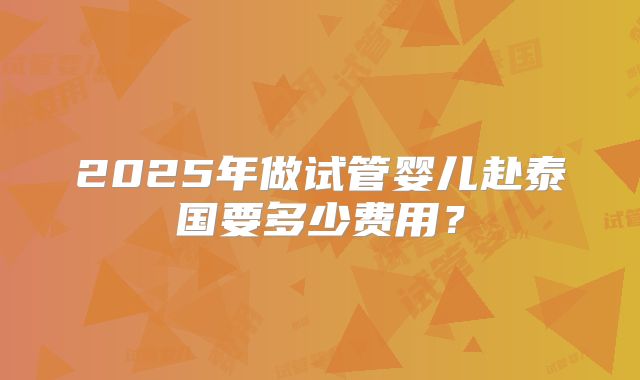 2025年做试管婴儿赴泰国要多少费用？