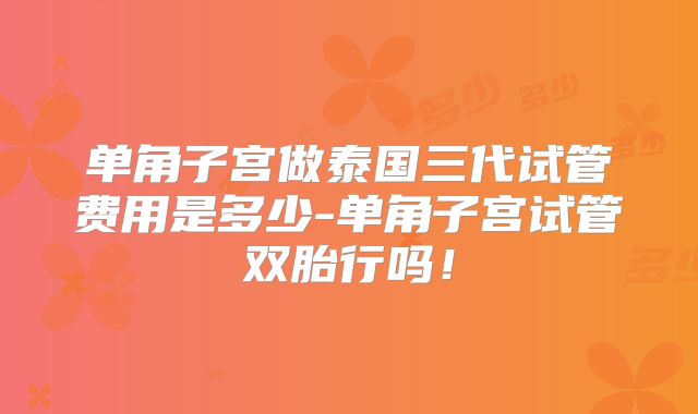单角子宫做泰国三代试管费用是多少-单角子宫试管双胎行吗！