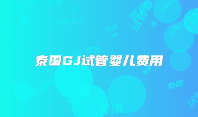 泰国GJ试管婴儿费用