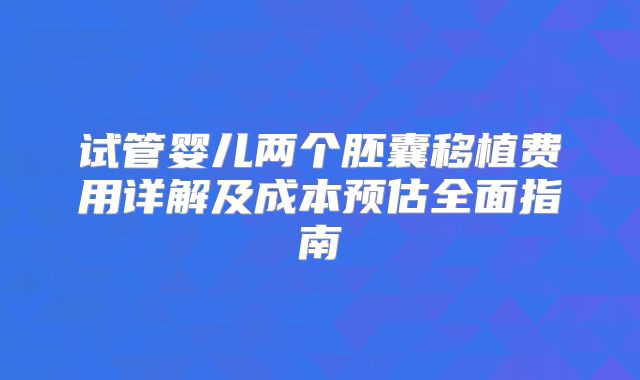 试管婴儿两个胚囊移植费用详解及成本预估全面指南