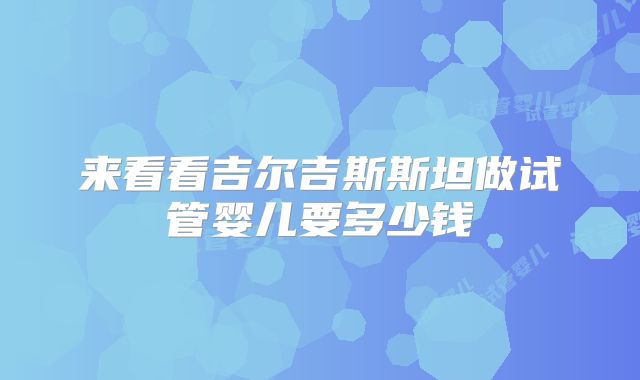 来看看吉尔吉斯斯坦做试管婴儿要多少钱