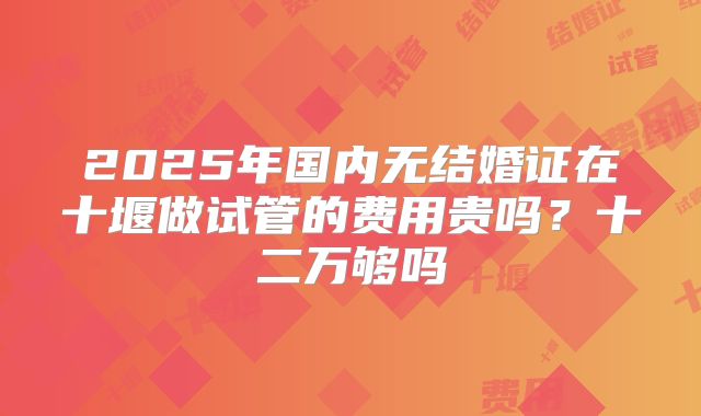 2025年国内无结婚证在十堰做试管的费用贵吗？十二万够吗