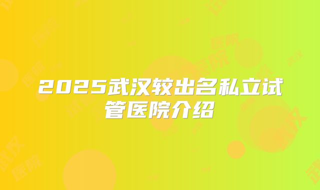 2025武汉较出名私立试管医院介绍