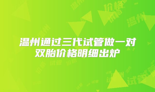 温州通过三代试管做一对双胎价格明细出炉