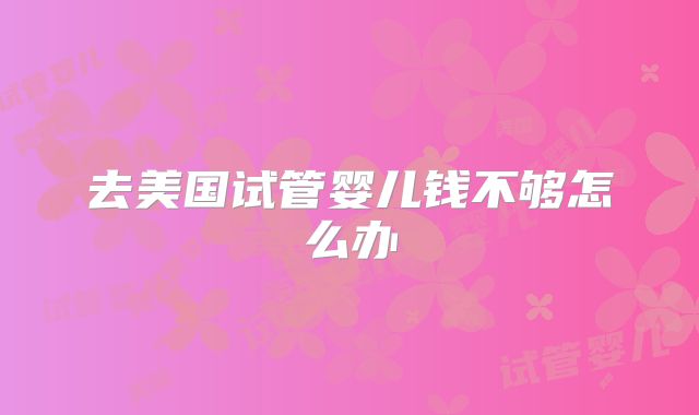 去美国试管婴儿钱不够怎么办