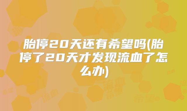 胎停20天还有希望吗(胎停了20天才发现流血了怎么办)