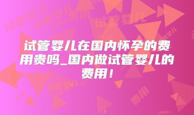 试管婴儿在国内怀孕的费用贵吗_国内做试管婴儿的费用！