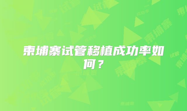 柬埔寨试管移植成功率如何?