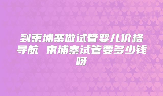 到柬埔寨做试管婴儿价格导航 柬埔寨试管要多少钱呀