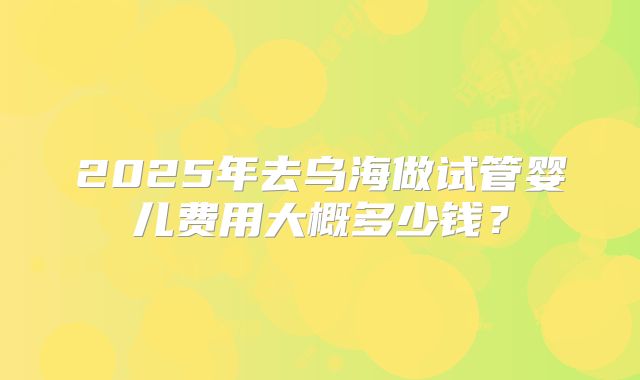 2025年去乌海做试管婴儿费用大概多少钱？