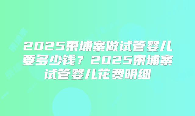 2025柬埔寨做试管婴儿要多少钱？2025柬埔寨试管婴儿花费明细