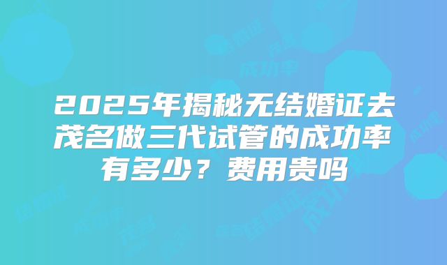 2025年揭秘无结婚证去茂名做三代试管的成功率有多少?费用贵吗