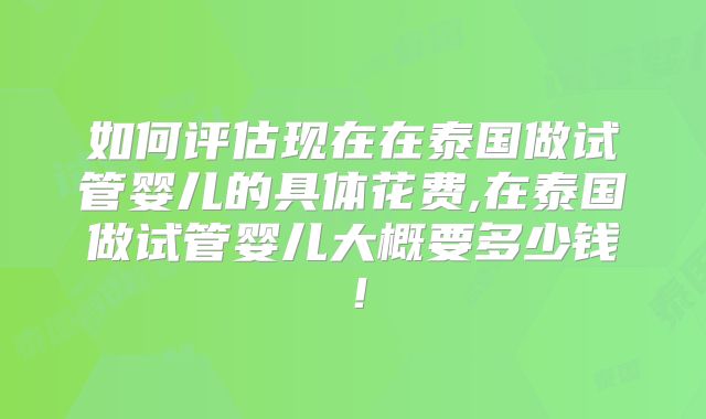 如何评估现在在泰国做试管婴儿的具体花费,在泰国做试管婴儿大概要多少钱！