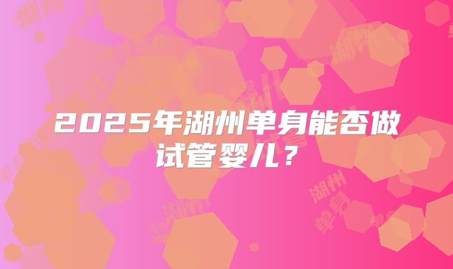2025年湖州单身能否做试管婴儿？
