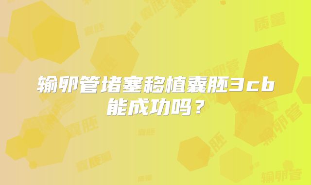 输卵管堵塞移植囊胚3cb能成功吗？