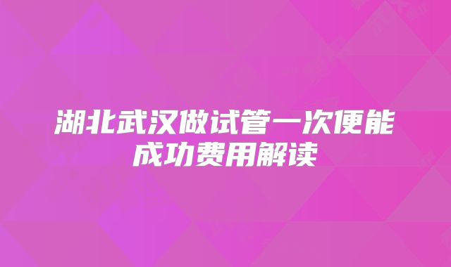 湖北武汉做试管一次便能成功费用解读