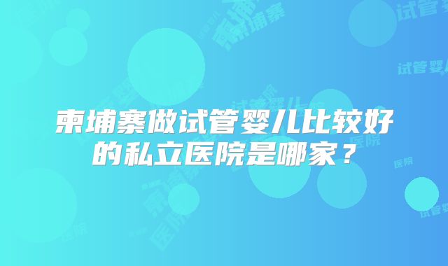柬埔寨做试管婴儿比较好的私立医院是哪家？