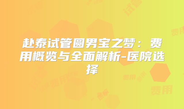 赴泰试管圆男宝之梦:费用概览与全面解析-医院选择