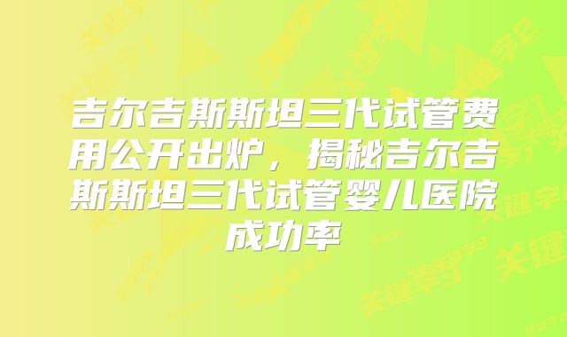 吉尔吉斯斯坦三代试管费用公开出炉，揭秘吉尔吉斯斯坦三代试管婴儿医院成功率