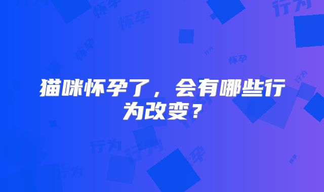 猫咪怀孕了，会有哪些行为改变？