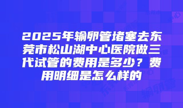 2025年输卵管堵塞去东莞市松山湖中心医院做三代试管的费用是多少？费用明细是怎么样的