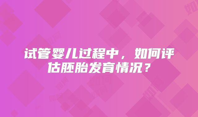 试管婴儿过程中,如何评估胚胎发育情况?