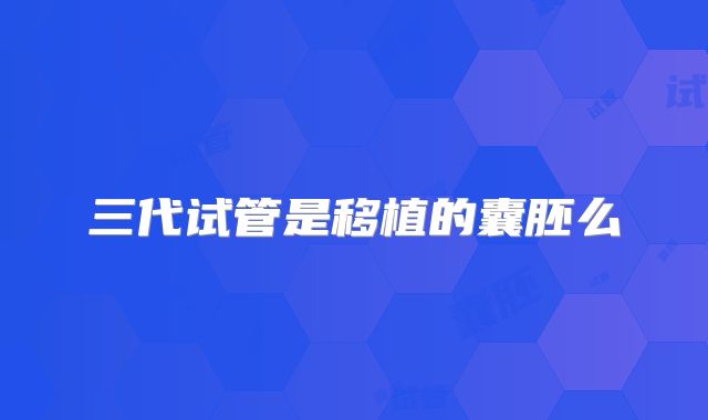 三代试管是移植的囊胚么
