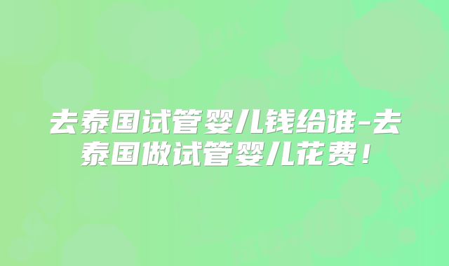 去泰国试管婴儿钱给谁-去泰国做试管婴儿花费！