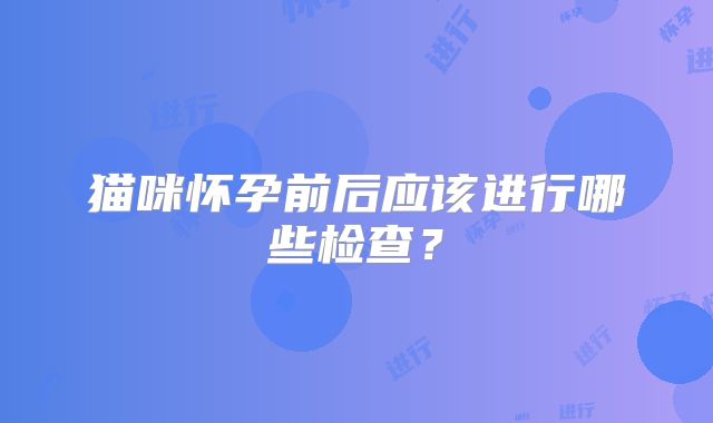 猫咪怀孕前后应该进行哪些检查？