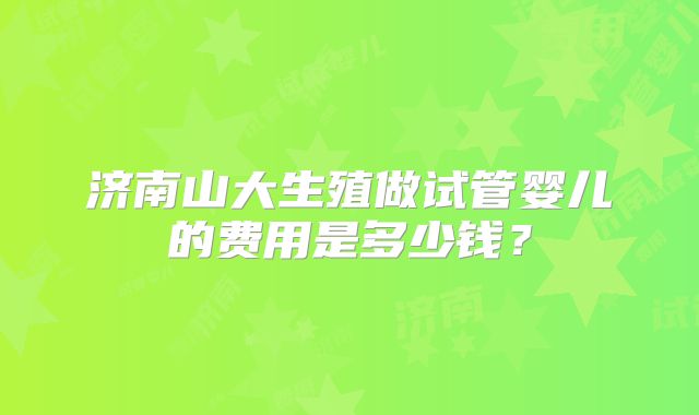 济南山大生殖做试管婴儿的费用是多少钱？