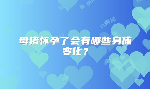 母猪怀孕了会有哪些身体变化?