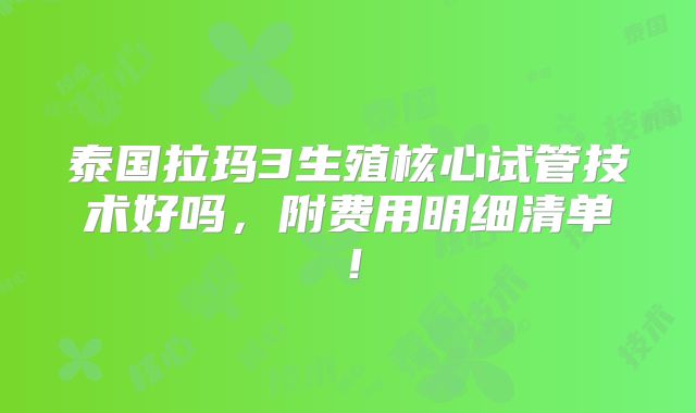 泰国拉玛3生殖核心试管技术好吗，附费用明细清单！