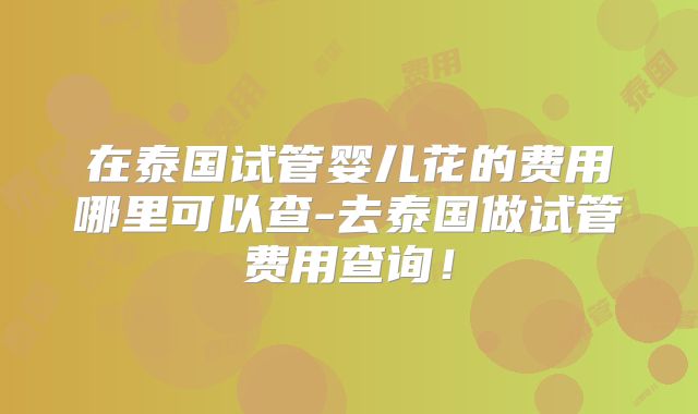 在泰国试管婴儿花的费用哪里可以查-去泰国做试管费用查询！