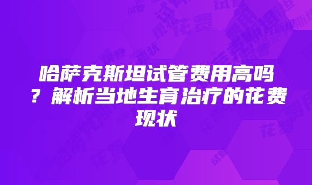哈萨克斯坦试管费用高吗？解析当地生育治疗的花费现状