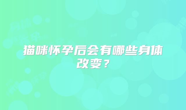 猫咪怀孕后会有哪些身体改变?