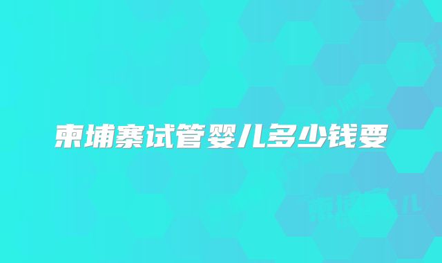 柬埔寨试管婴儿多少钱要