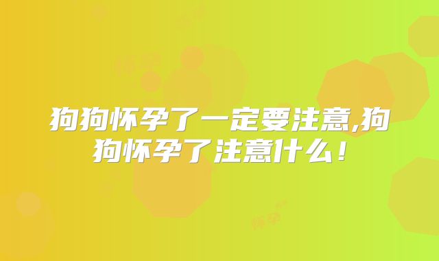狗狗怀孕了一定要注意,狗狗怀孕了注意什么!