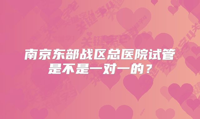 南京东部战区总医院试管是不是一对一的？