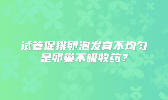 试管促排卵泡发育不均匀是卵巢不吸收药？