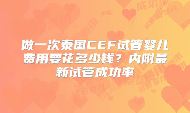 做一次泰国CEF试管婴儿费用要花多少钱？内附最新试管成功率