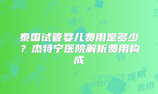泰国试管婴儿费用是多少？杰特宁医院解析费用构成