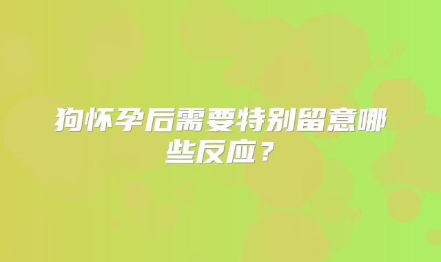 狗怀孕后需要特别留意哪些反应?