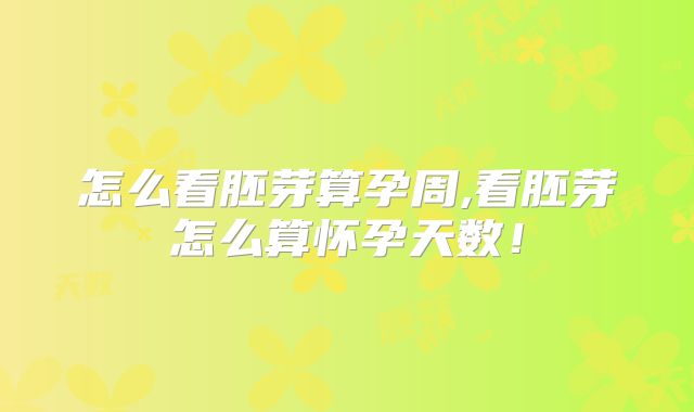 怎么看胚芽算孕周,看胚芽怎么算怀孕天数！